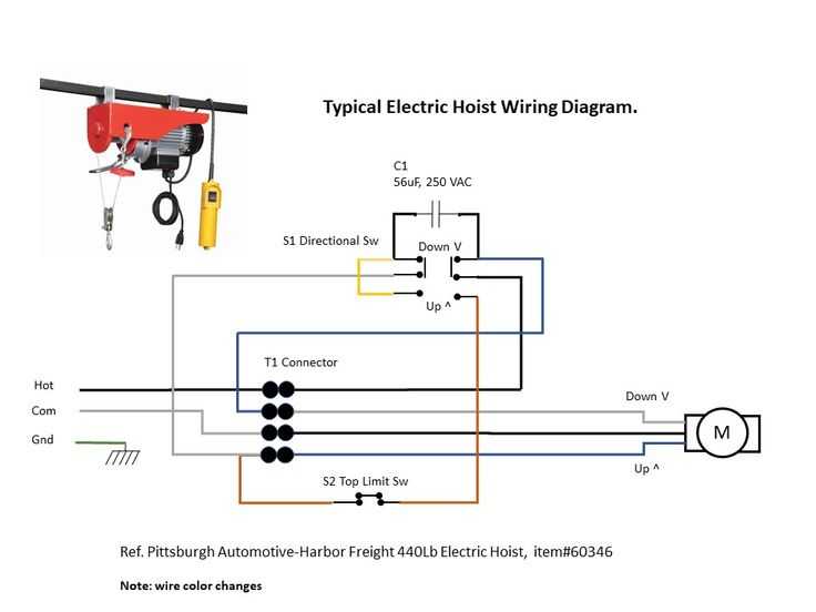 Electric & Manual Chain Hoists